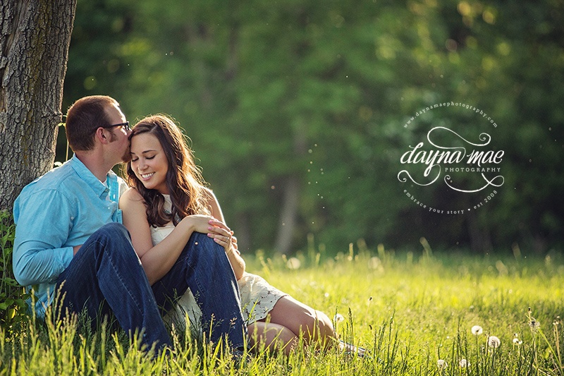 ann_arbor_engagement_04