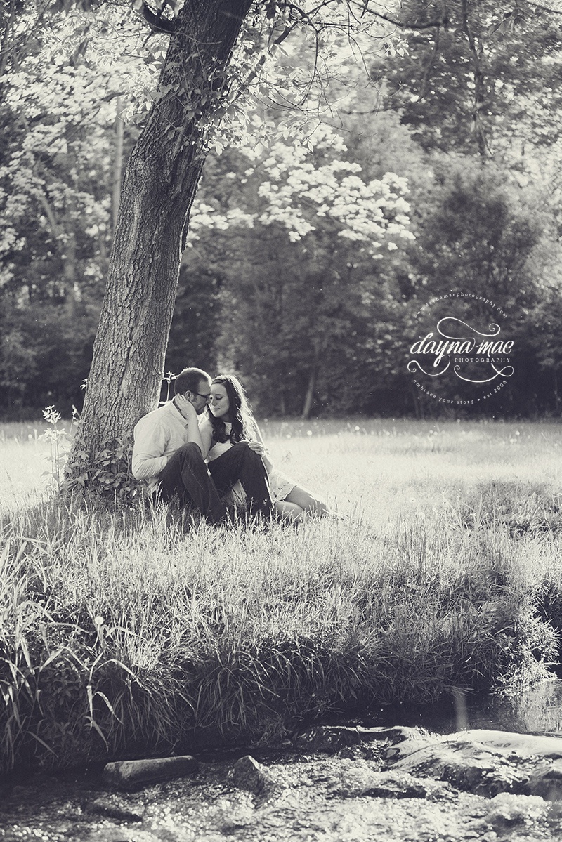 ann_arbor_engagement_05